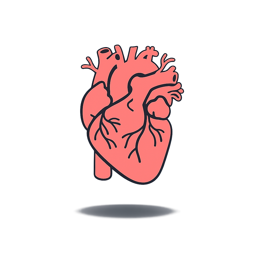 Sistema Cardiovascular